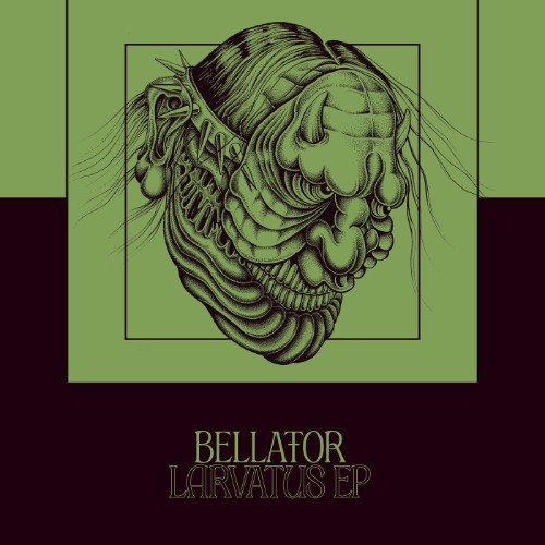 00-va-bellator-larvatus-caediteo-S006-web-2026-cover.jpg