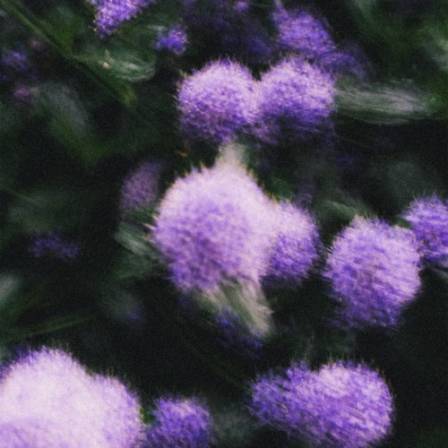 00-envy-finite-heart-gmn015s2-single-web-2026-cover.jpg