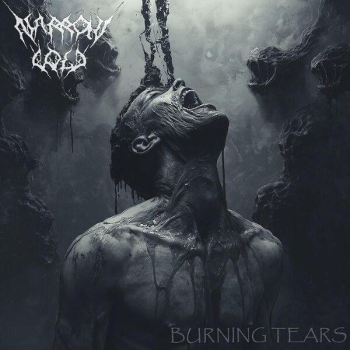 Narrow-Cold-Burning-Tears-24BIT-WEB-FLAC-2025-ENTi-TLED.jpg