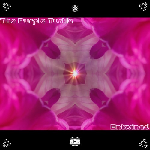 00-the-purple-turtle-entwined-tbep06-web-2026-pic-zzzz.jpg