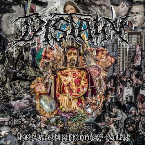 Distain-For-Morbidities-Sake-24BIT-WEB-FLAC-2026-VEXED.jpg