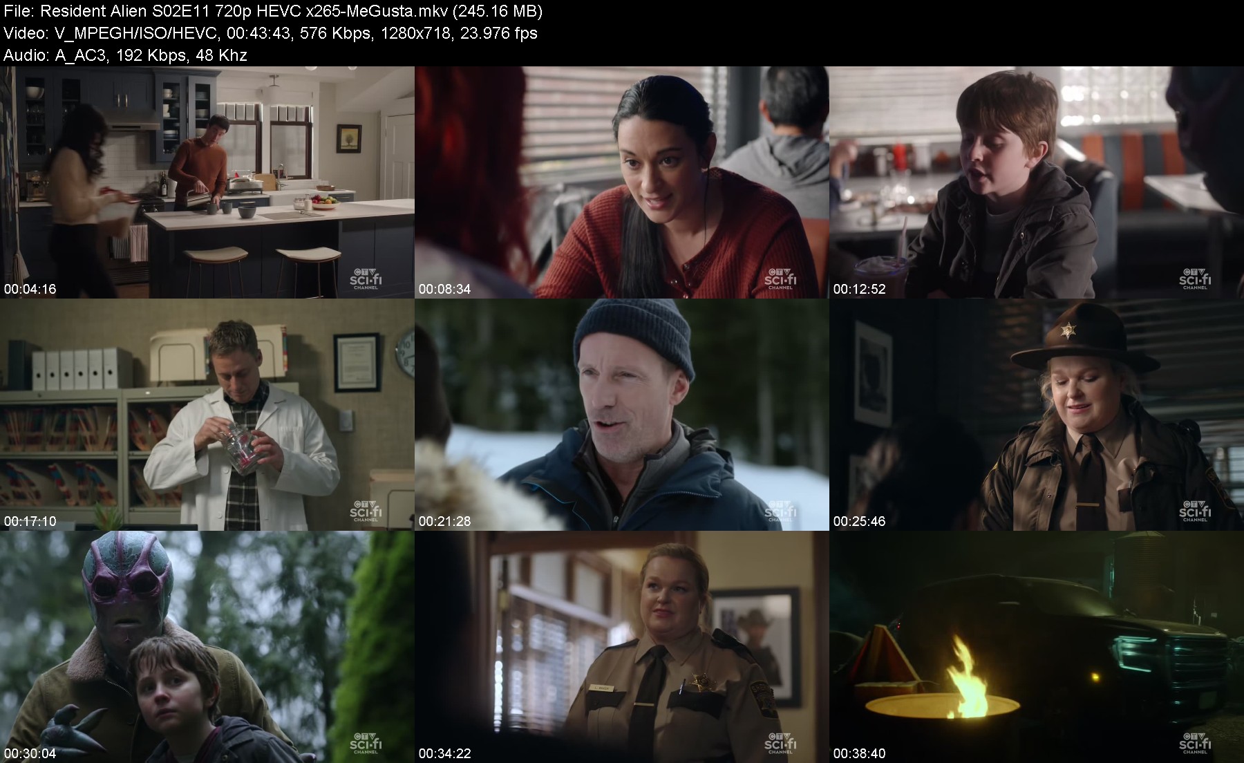 302169817_resident-alien-s02e11-720p-hevc-x265-megusta.jpg