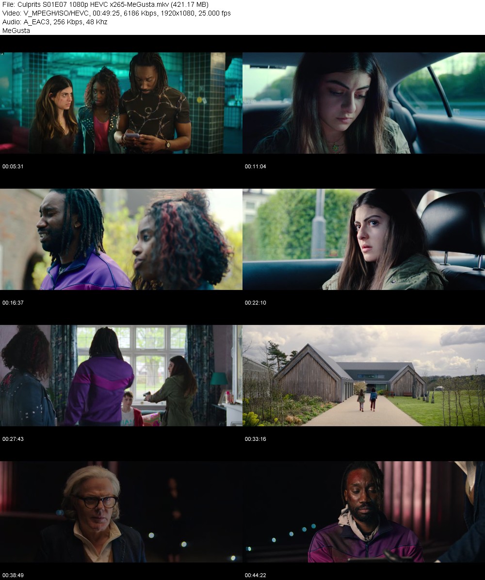 397669712_culprits-s01e07-1080p-hevc-x265-megusta.jpg