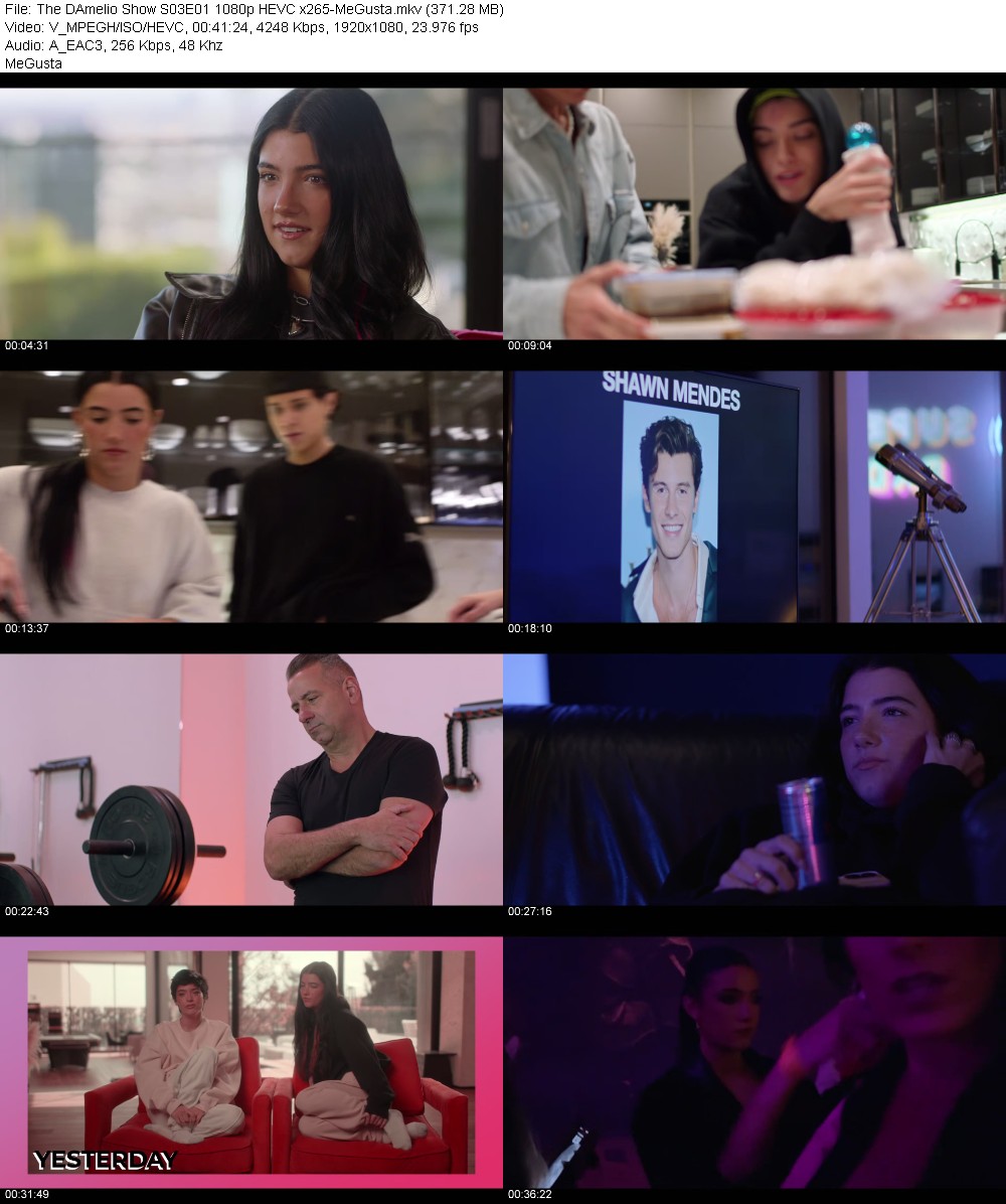 382155267_the-damelio-show-s03e01-1080p-hevc-x265-megusta.jpg