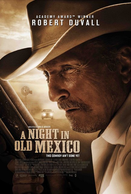 A-Night-in-Old-Mexico-2013-1080p-AMZN-WEBRip-DDP-5-1-H-265-i-Vy.jpg