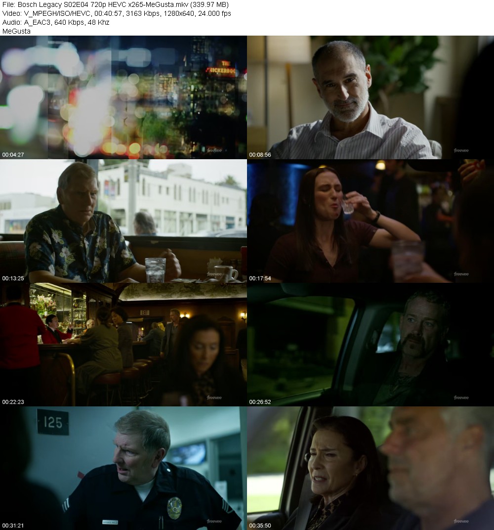 392193090_bosch-legacy-s02e04-720p-hevc-x265-megusta.jpg