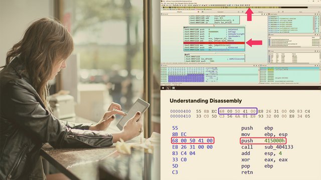 ida-pro-concepts-basic-functionality-v1.jpg