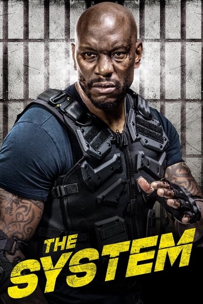 369844818_the_system_2022_hdrip_1080p_h264_ac3_aspide_lori.jpg