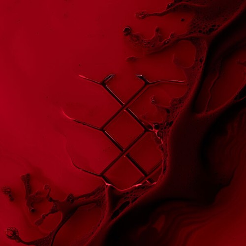 Damen-Arrival-DAMEN-Remix-0827568001856-SINGLE-WEB-2026-Zz-Zz.jpg