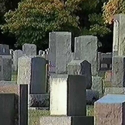 Bones-CADAVER-2024.jpg