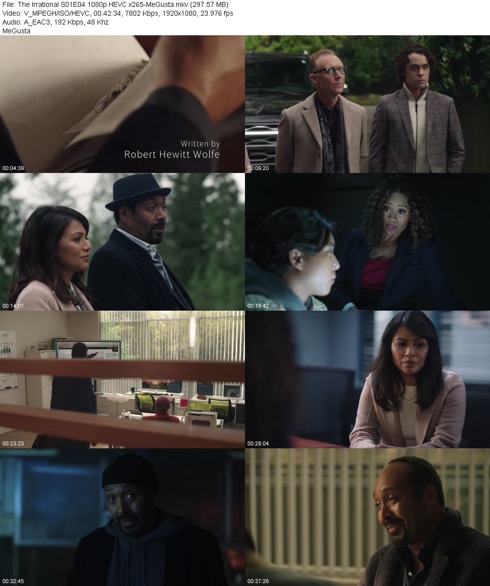 391431005_the-irrational-s01e04-1080p-hevc-x265-megusta.jpg