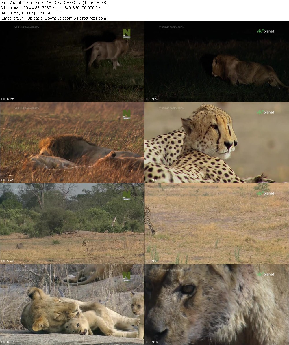 342597726_5r4n1utgfa6x.jpg