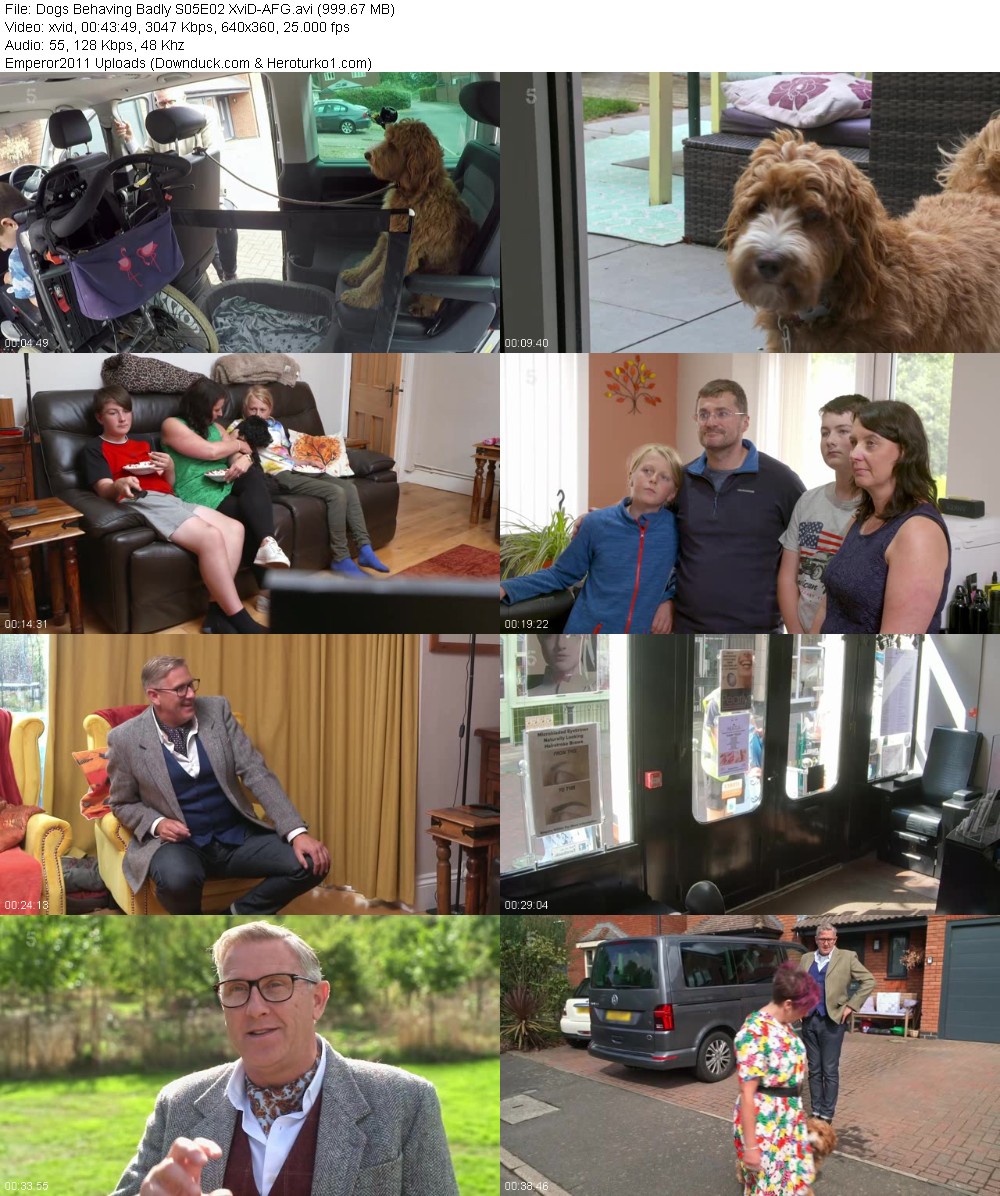 329287923_xfi3a8gs5qa4.jpg