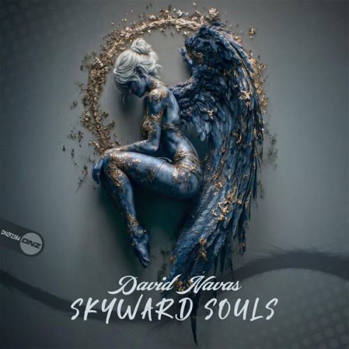 David-Navas-Skyward-Souls-DNZF2384-SINGLE-WEB-2026-Zz-Zz.jpg