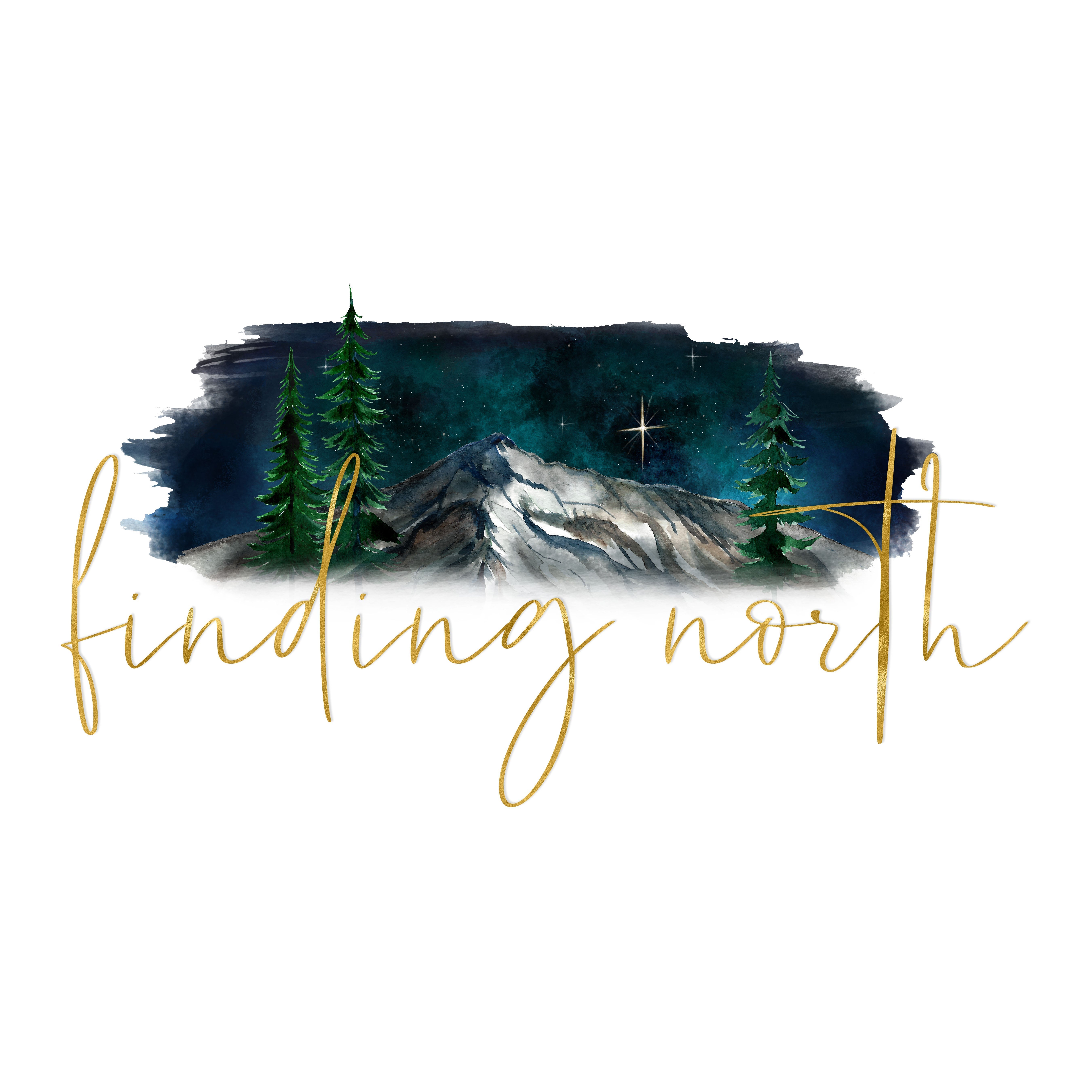 findingnortheducation.com