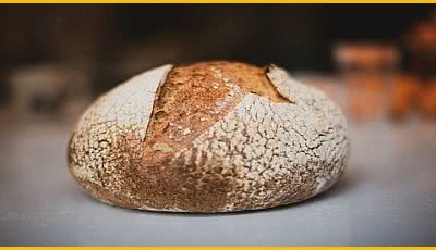 the-easy-going-mother-dough-guide.jpg