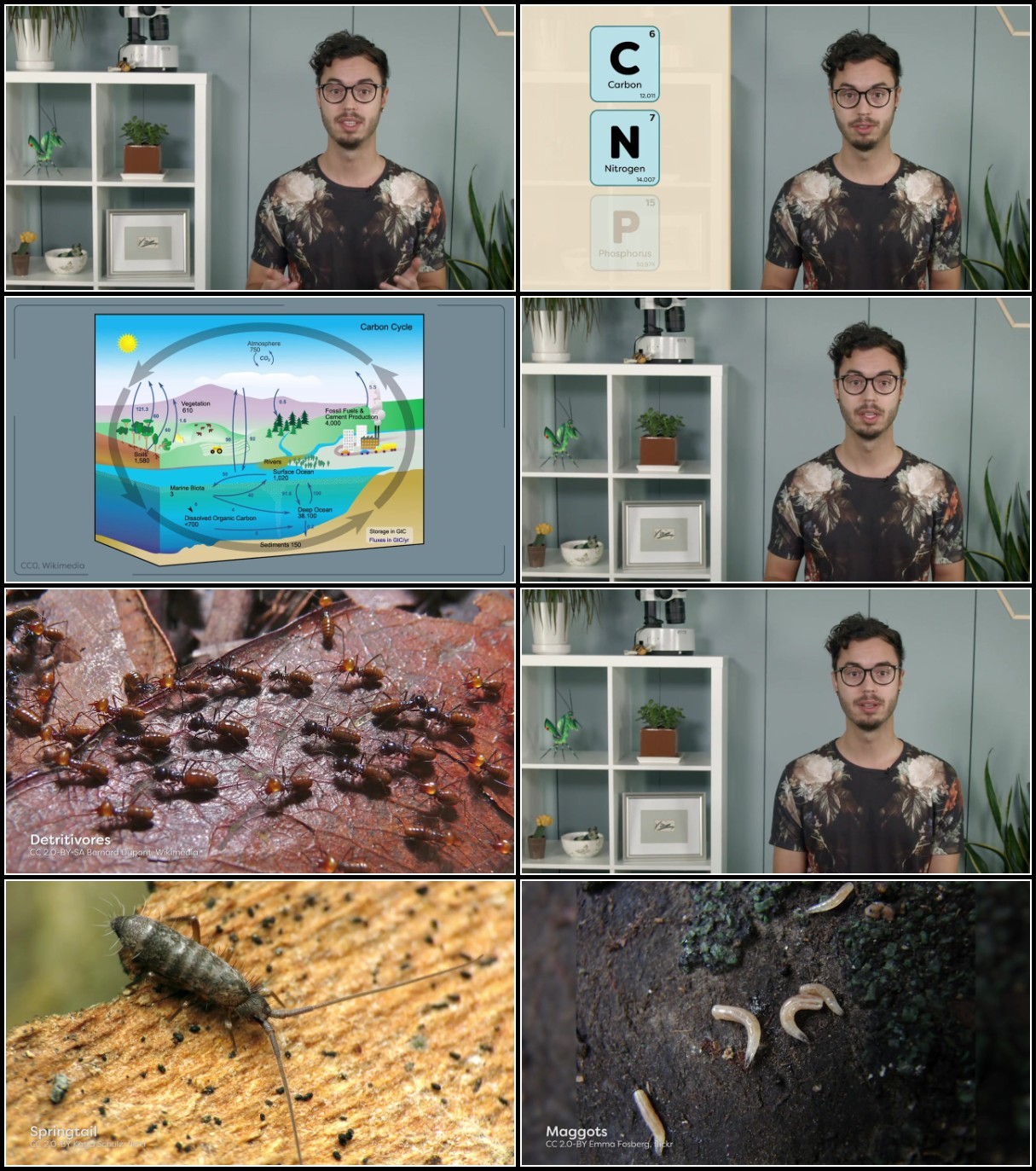 KExm0Q3M_o.jpg