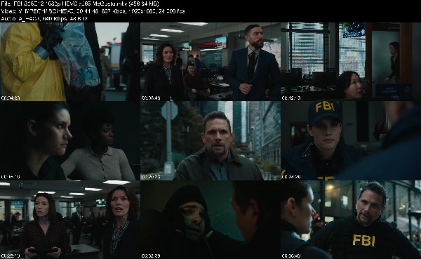 332115031_fbi-s05e12-1080p-hevc-x265-megusta.jpg