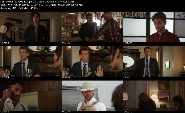 331065267_walker-s03e09-1080p-hevc-x265-megusta.jpg