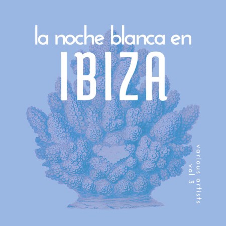 VA-La-Noche-Blanca-En-Ibiza-Vol-3-2025-FLAC-16bit-44-1k-Hz.jpg