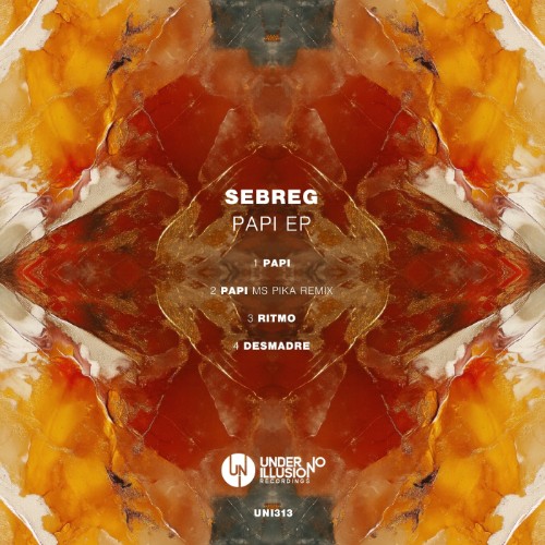 00-sebreg-papi-ep-uni313-web-2026-cover.jpg