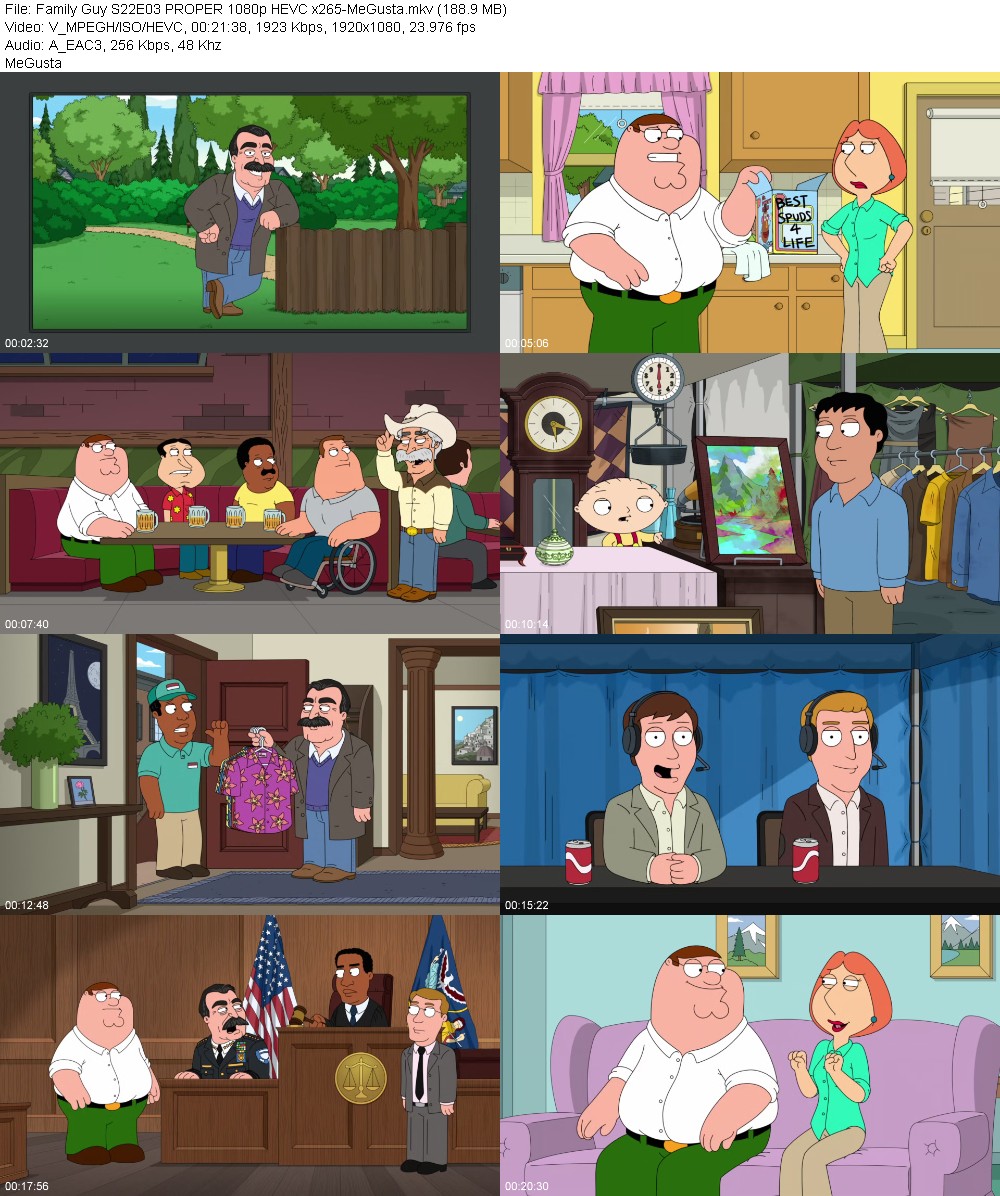 394289531_family-guy-s22e03-proper-1080p-hevc-x265-megusta.jpg