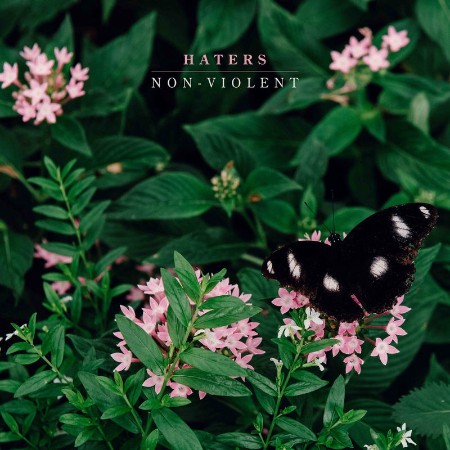 Haters-Non-Violent-WEB-2025-RUMBLE.jpg
