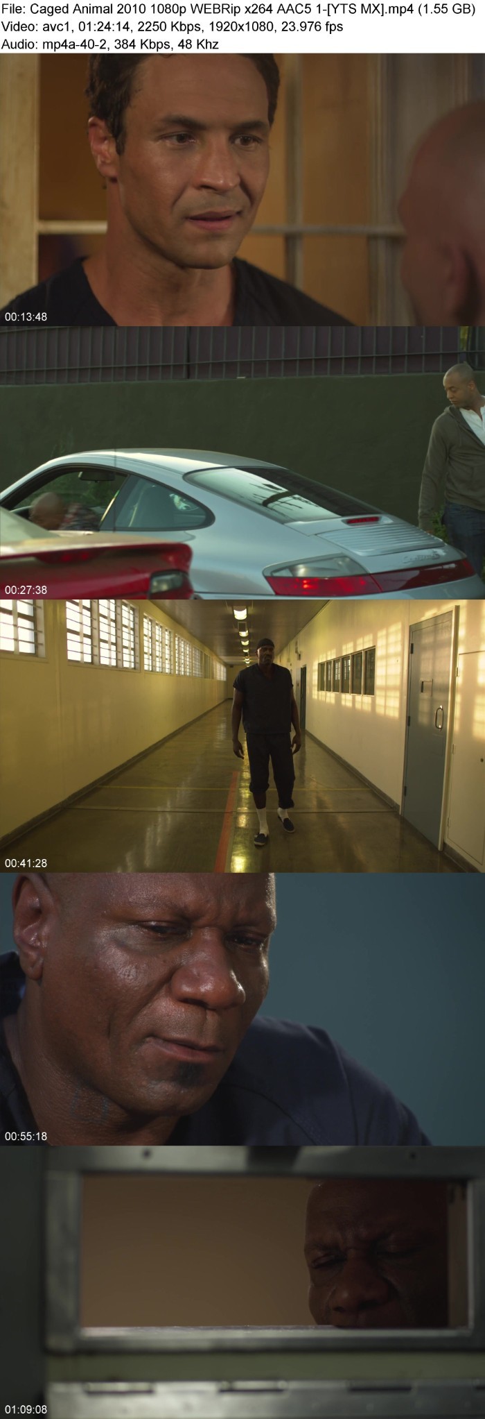 zGl0Ss9K_o.jpg