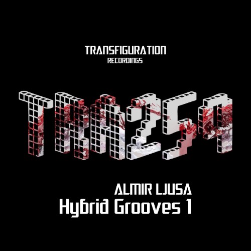 00-almir-ljusa-hybrid-grooves-1-tra259-web-2026-cover.jpg