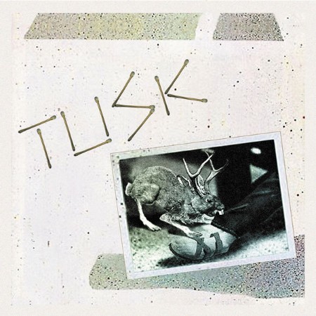 Camper-Van-Beethoven-Tusk-16-BIT-WEB-FLAC-2003-OBZEN.jpg