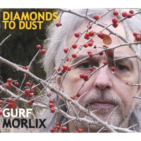 Gurf-Morlix-Diamonds-To-Dust-16-BIT-WEB-FLAC-2007-OBZEN.jpg
