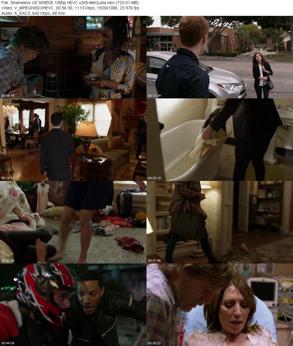 SuILO5MF_o.jpg