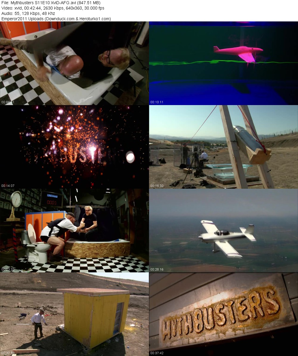 361332894_w17sz6rmqw7y.jpg