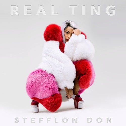 2016-Stefflon-Don-Real-Ting-Mixtape.jpg