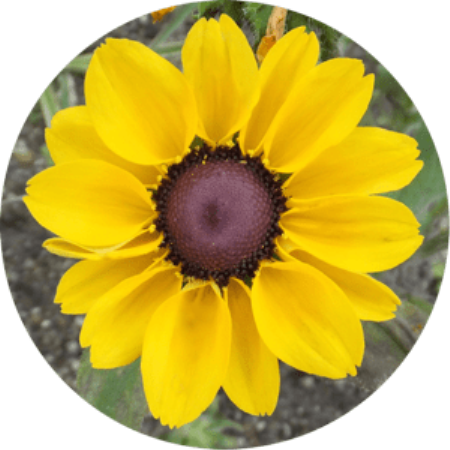 42c70bba-db3b-4c2c-9a8d-02e4d4aa8ce6.png