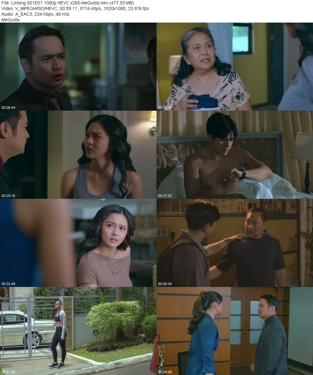 393904801_linlang-s01e07-1080p-hevc-x265-megusta.jpg