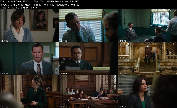 332594571_law-and-order-s22e12-1080p-hevc-x265-megusta.jpg