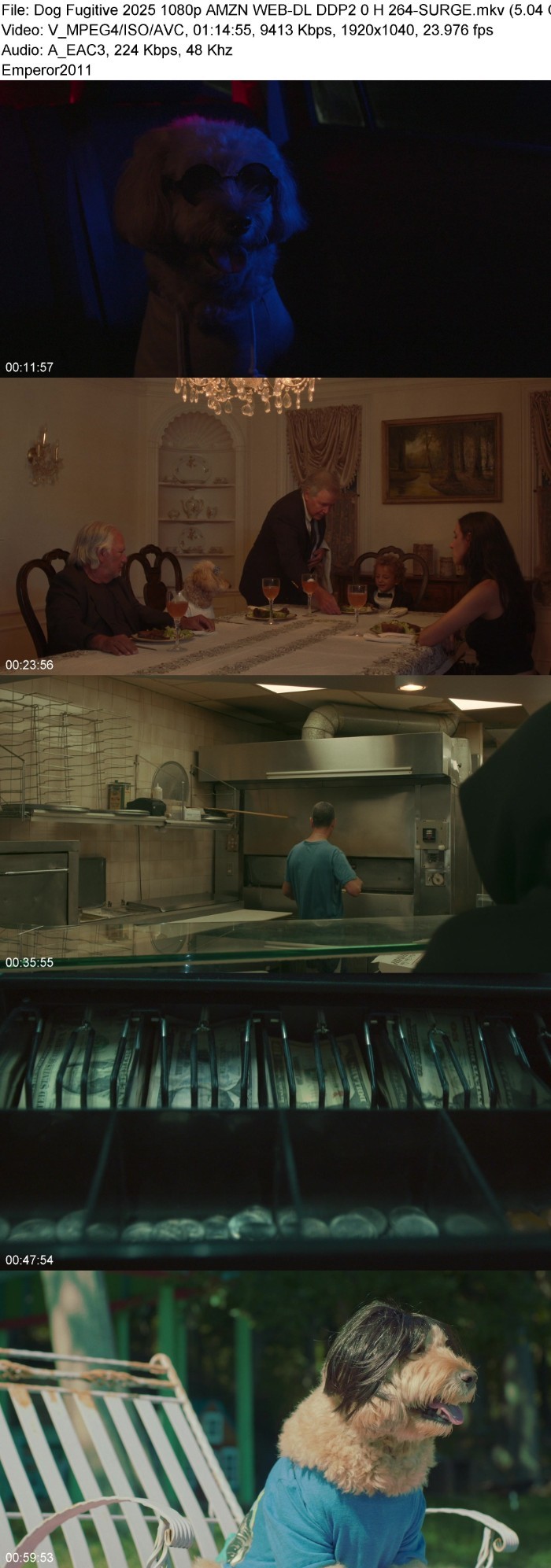 PIul7ZKq_o.jpg