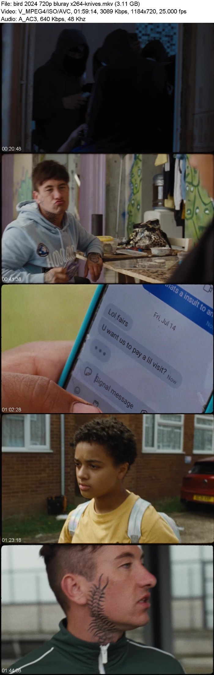 fMdNEkiF_o.jpg