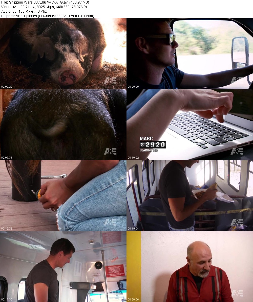 347787625_491goxmw7czn.jpg