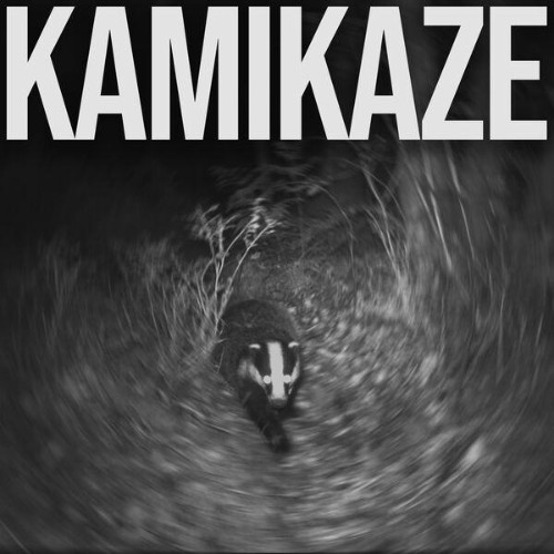 Agoraphobia-Kamikaze-WEB-2026-ENVi-ED.jpg