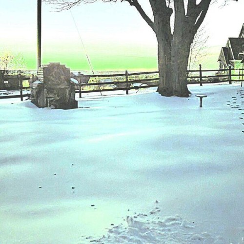 Ben-Wolfe-Winter-In-Hindsight-WEB-2026-ENRi-CH.jpg