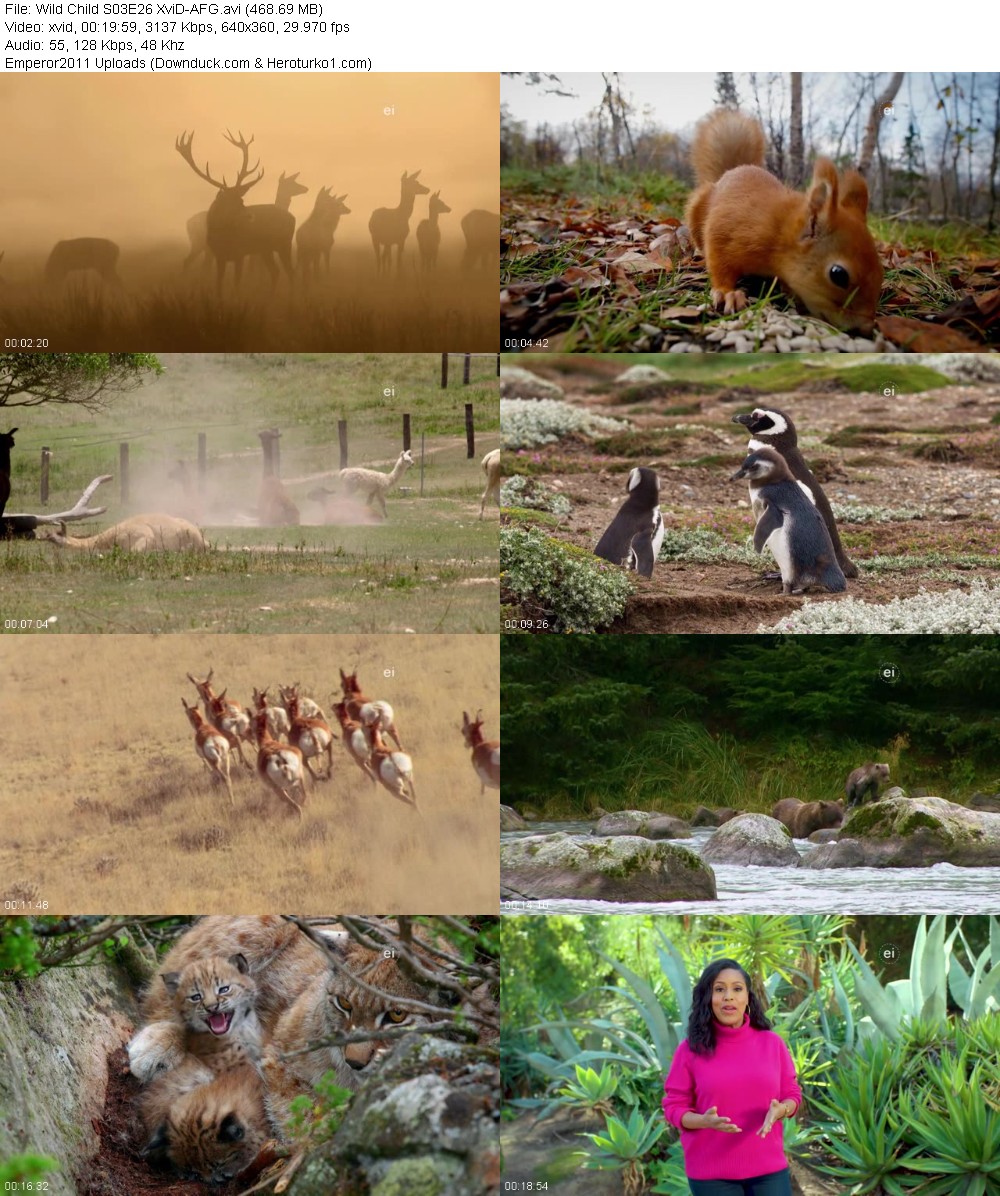 366599379_x4hx4nt5gru8.jpg