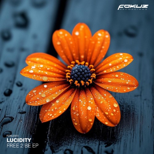 Lucidity-Free-2-Be-EP-FOKUZ373-WEB-2026-BB.jpg