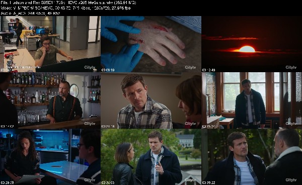 330836175_hudson-and-rex-s05e11-720p-hevc-x265-megusta.jpg