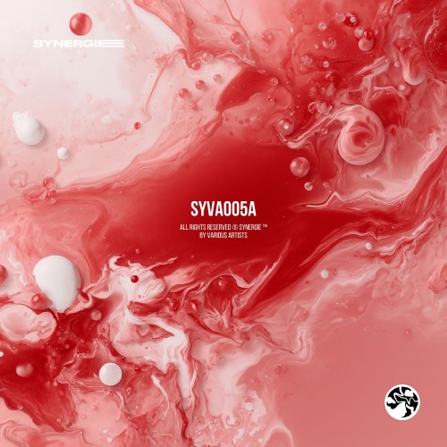 00-va-syva005-part-a-syva005a-web-2026-cover.jpg