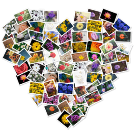 c2665aef-bd8a-412a-9b75-525b167fba93.png