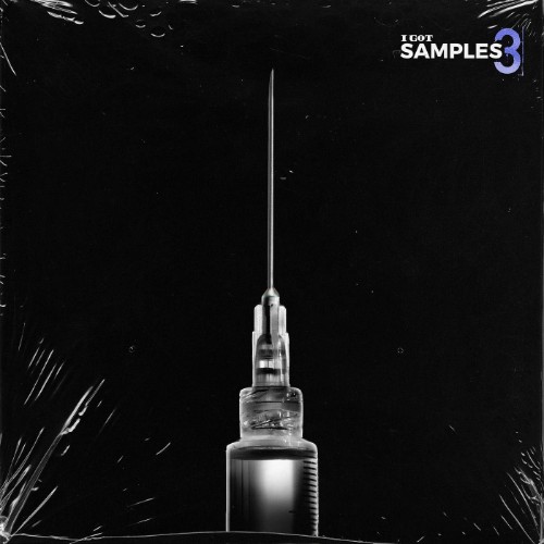 Rigs-I-Got-Samples-3-16BIT-WEB-FLAC-2026-ENRi-CH.jpg