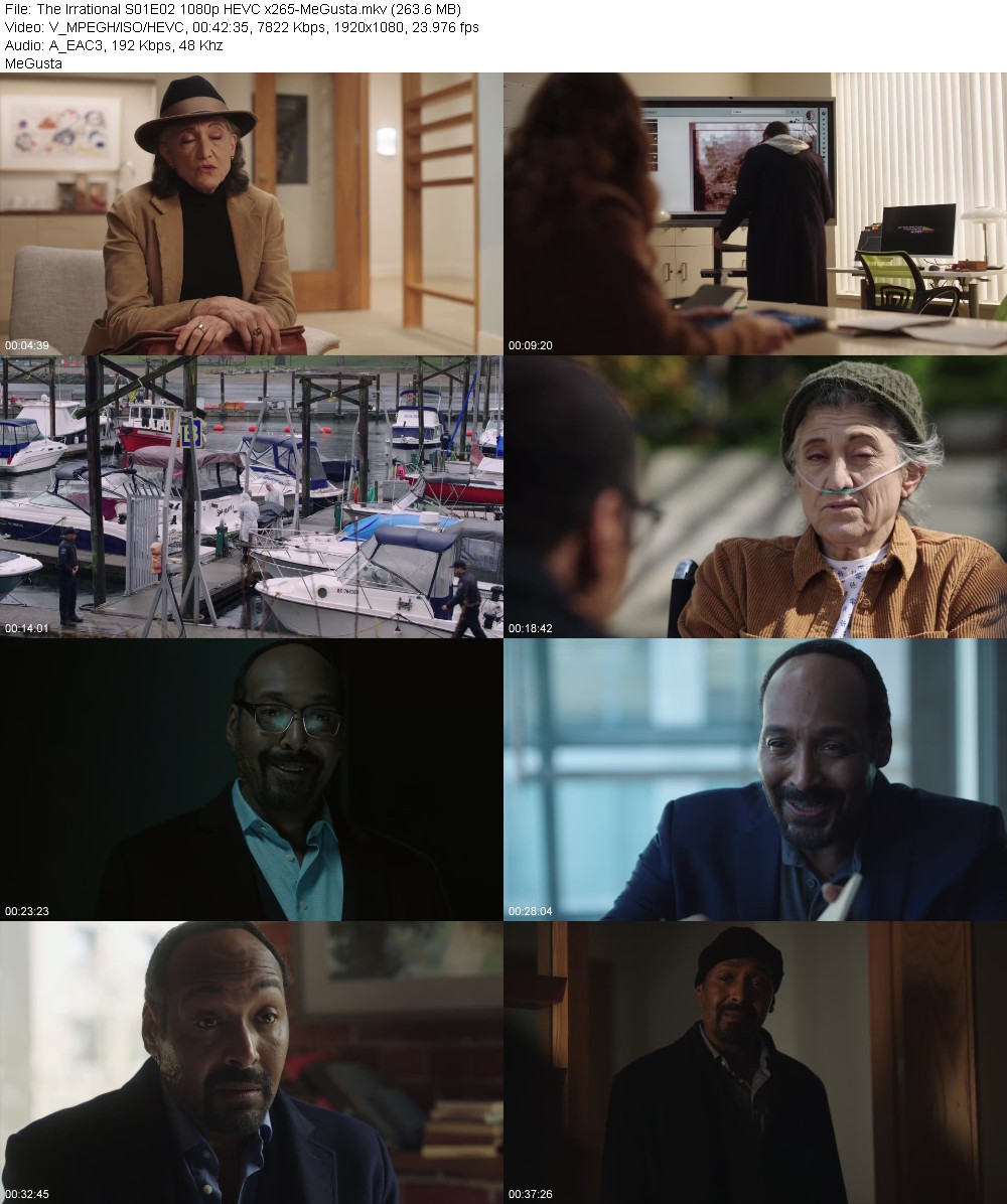 385081942_the-irrational-s01e02-1080p-hevc-x265-megusta.jpg