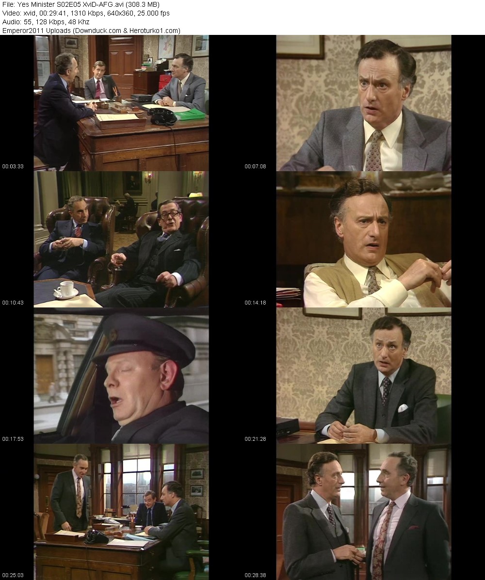 365086953_eq47jqd79ltu.jpg